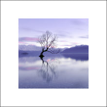 Load image into Gallery viewer, Wanaka Trilogy
